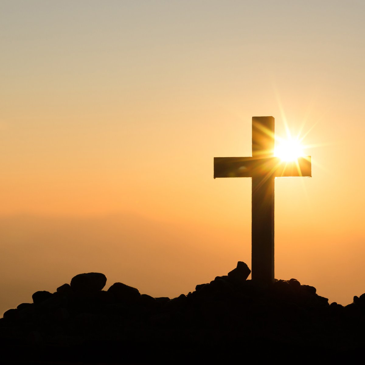 PelicanWW's tweet photo. Pelican Houston will be closed on Friday, April 15th in observance of Good Friday. https://t.co/mBPrZXWAKP