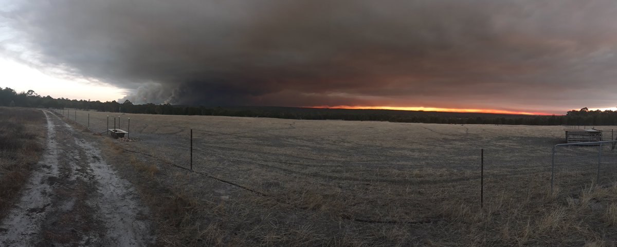 Out the backyard. Prescribed burn. Amazing sunset.