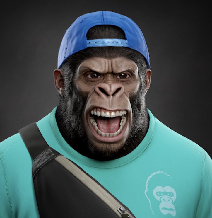 ShadyMixes's tweet photo. 🚨🚨🚨SOMETHING IS COMING………#SUPREMEKONG #KONGSEASON #KONGSOVEREVERYTHING 🦍🦍🦍 STAY TUNED TO DISCORD FOR ANNOUNCEMENTS 🚨🚨🚨@supremekong https://t.co/zqy9grJVSl