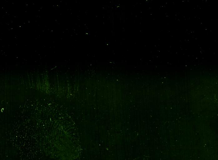 88.08%_match: Philip  Pocock "Or Let Me Be Silent", 1991 #adambasanta #artfactory #dailyart #contemporaryart #digitalart #allwedeverneedisoneanother #philippocock #abstractart #abstractpainting #artoftheday #digitalpainting #generativeart #postphotography