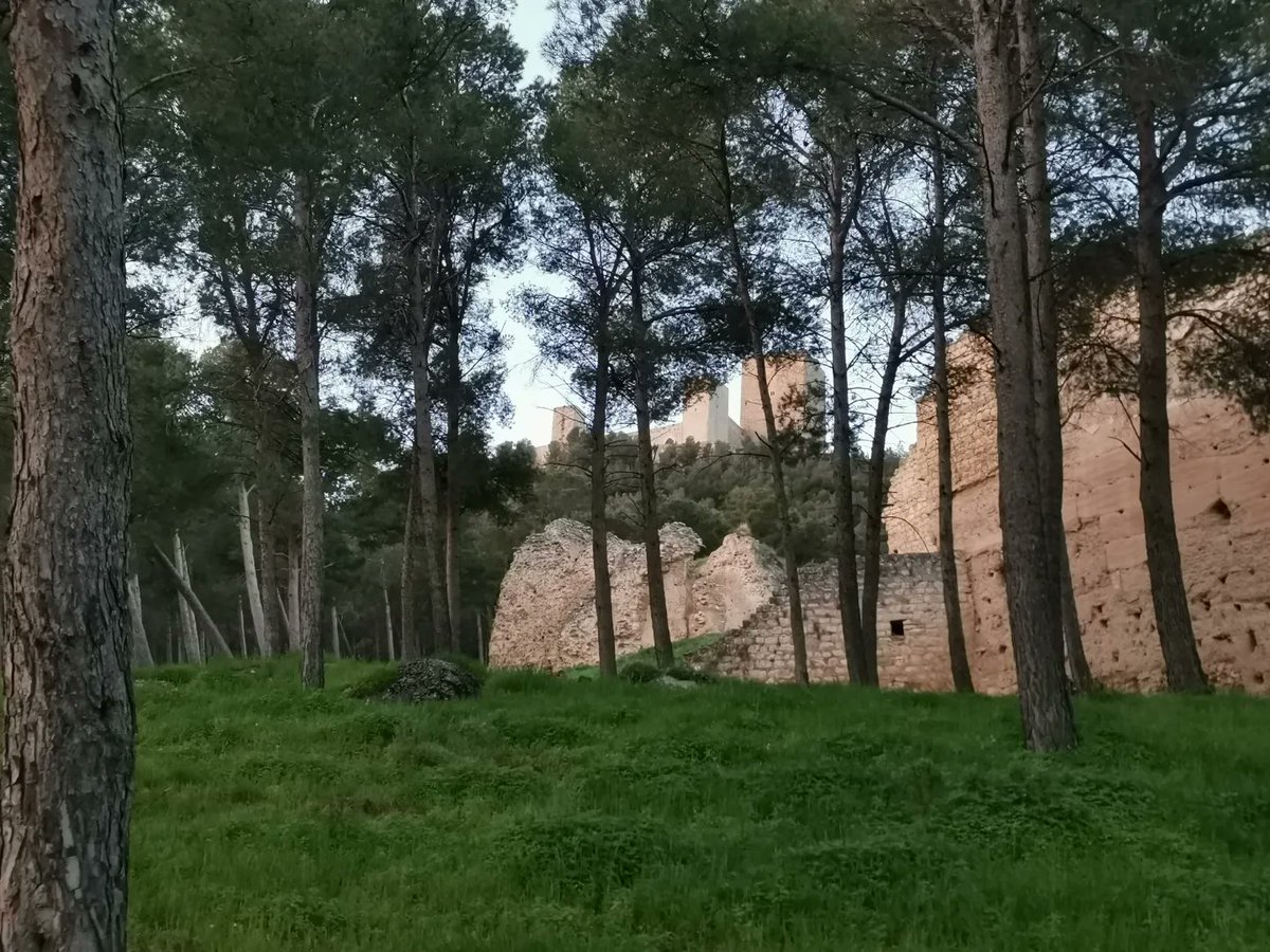 mdavilavm's tweet photo. Oxigenar piernas y mente con una buena vuelta madruhadora por los montes que abrazan la ciudad de #Jaén. What else? #SillyWalks #19kmDeCerroEnCerro #Neveral #Vicaría #Mella #JaenParaisoInterior https://t.co/BOKaONRftO