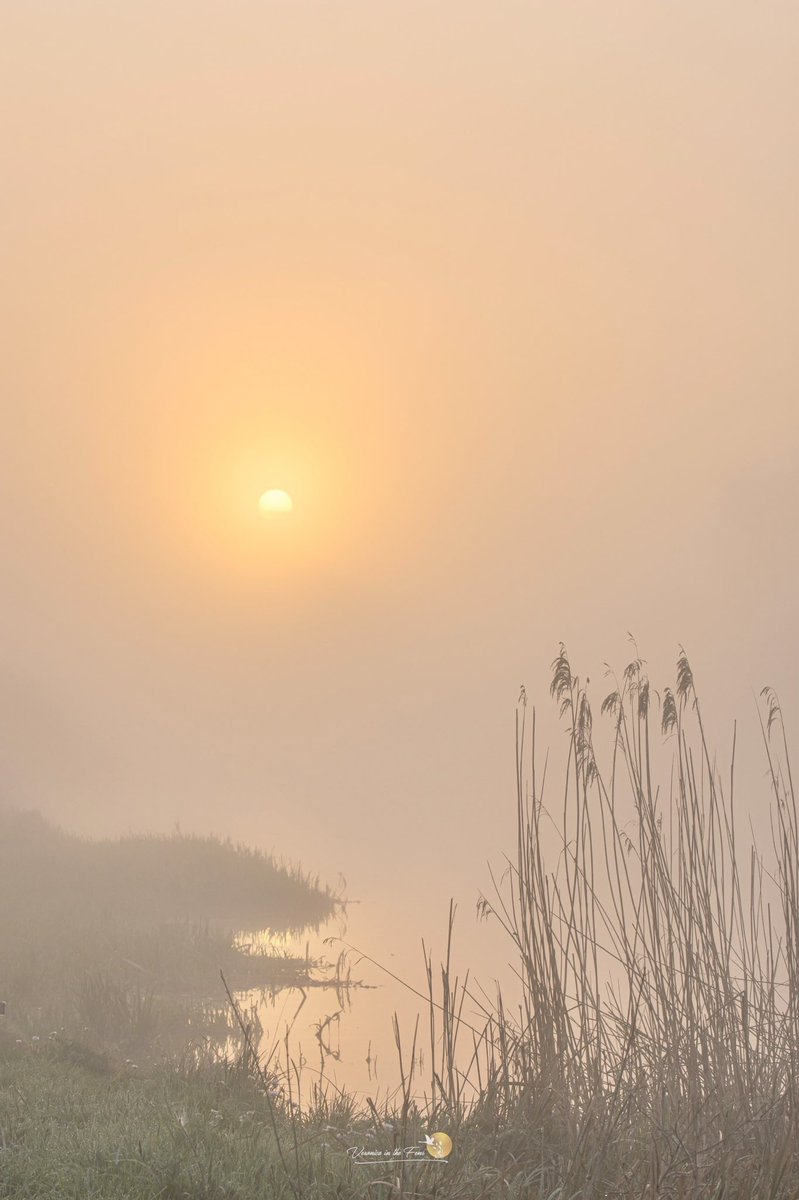 VeronicaJoPo's tweet photo. A truly wonderful sunrise this morning in Ely Country Park ๐งกโค๏ธ๐งก
#sunrise #thefens #rivermist #mistymorning @SpottedInEly @metoffice @StormHour https://t.co/Ou5IgozB7W