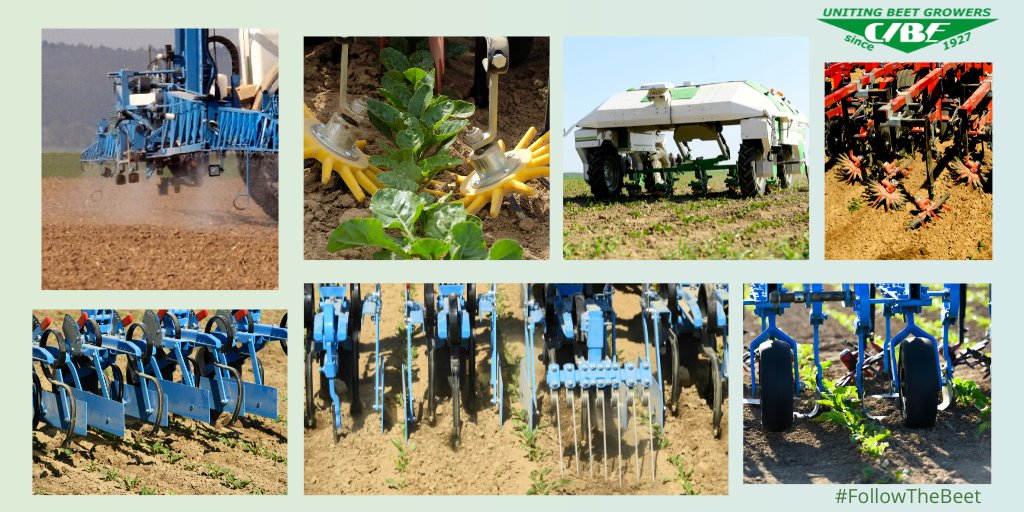 C.I.B.E. tweet media