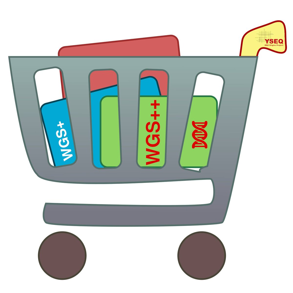 YseqDNA tweet media
