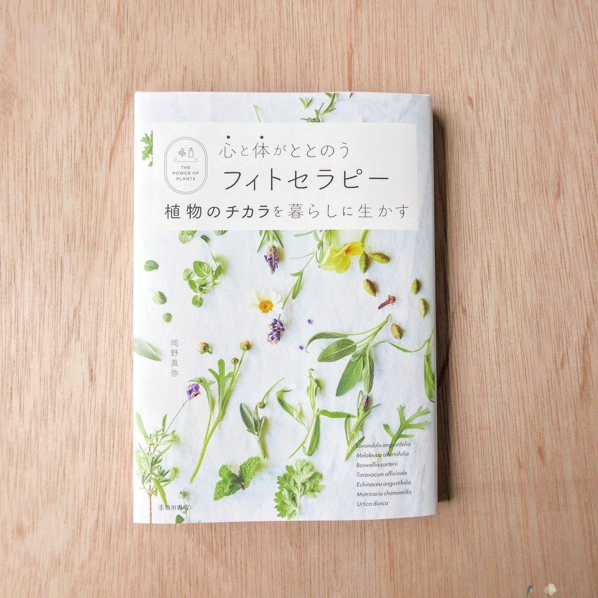 nishida_mana's tweet photo. 『心と体がととのうフィトセラピー　植物のチカラを暮らしに生かす』
発行 池田書店
著書 岡田真弥さん
デザイン 高橋朱里さん 

本書の中で94種の植物の絵を描いております。初めて知る植物もたくさんあり、改めて自然の多様性に満ちた美しさに癒されました。 https://t.co/xgULtFyBxD