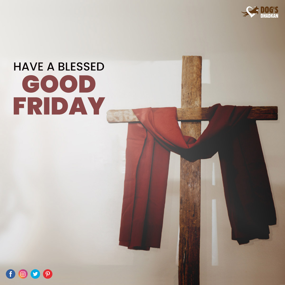 DogsDhadkan's tweet photo. May your faith in God bring peace to you and your fur-buddy. Dogs Dhadkan wishes all it's pet-parents an auspicious Good Friday.

#happygoodfriday #GoodFriday https://t.co/aY1HB9kKKH