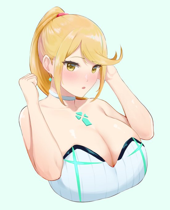 ポニテの聖杯
#ゼノブレイド2 
#XenobladeChronicles2 