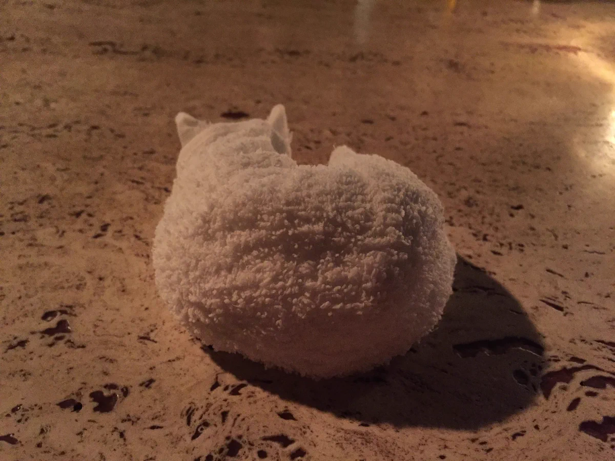 哀愁漂う猫の背中。実はこれ、おしぼりでできている！？