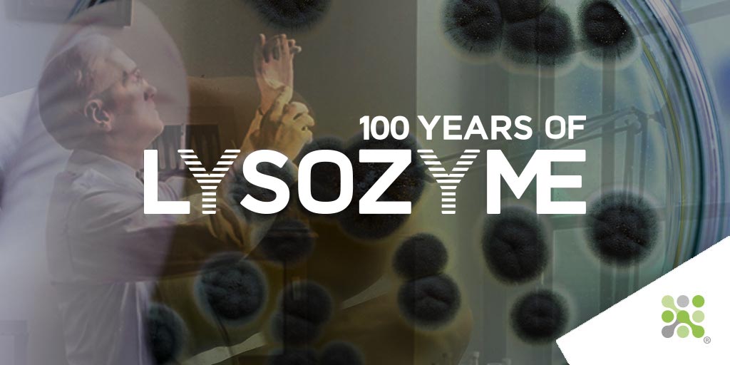 The next instalment in our celebration of #Lysozyme’s 100-year history is now live here: bit.ly/3xu1A4C
This week we delve into Lysozyme’s beginnings at Bioseutica, an #Italian story beginning in #1947.
#100yearsofLysozyme