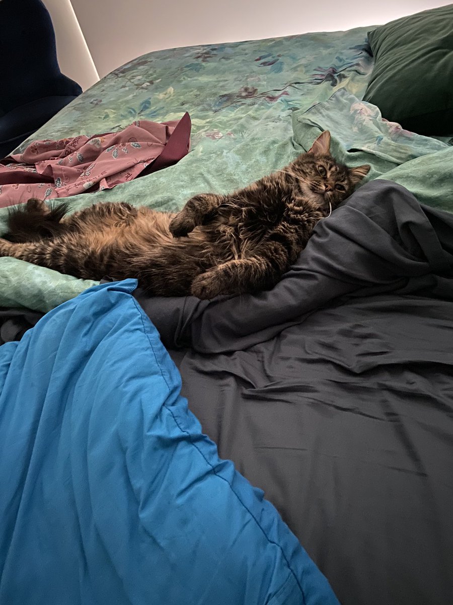 GeodudeAP's tweet photo. @Should_have_cat This is Hemsworth. https://t.co/8aGEw1Cs9J