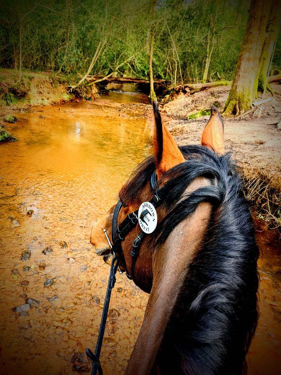 Alexandre Boyes tweet media