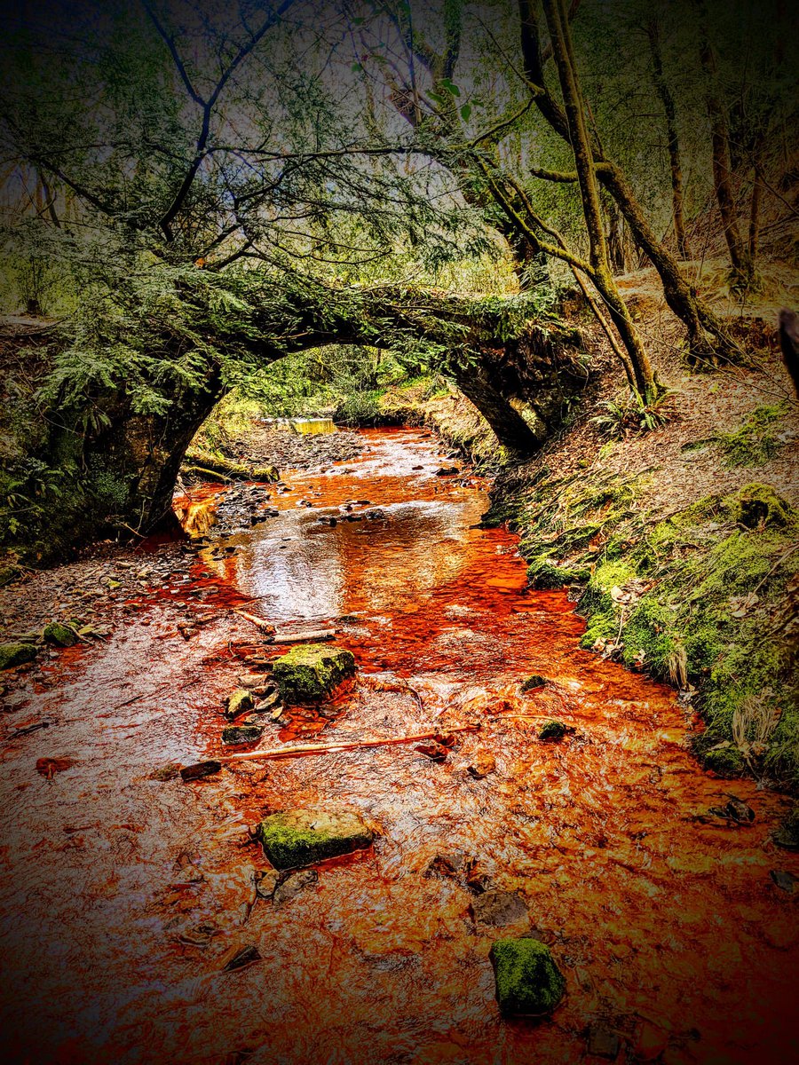 Alexandre Boyes tweet media