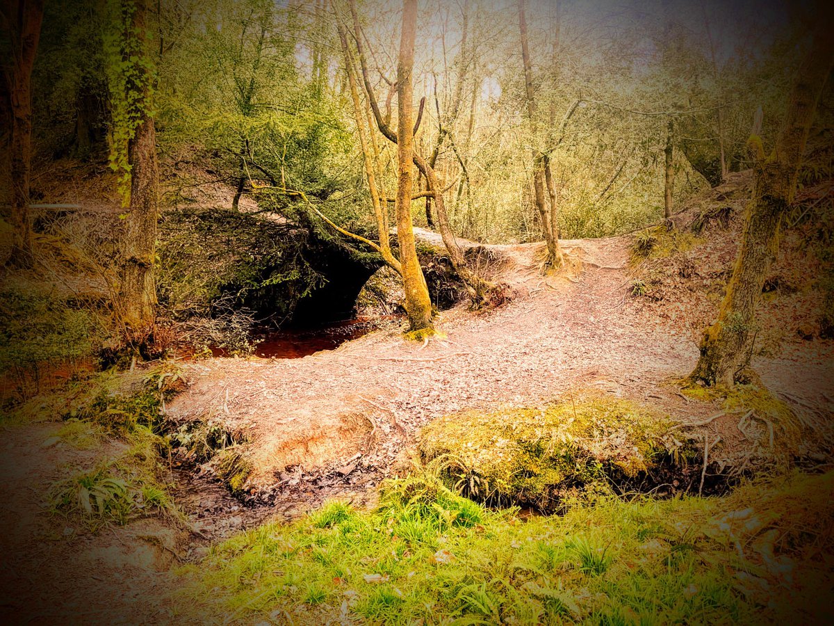 Alexandre Boyes tweet media