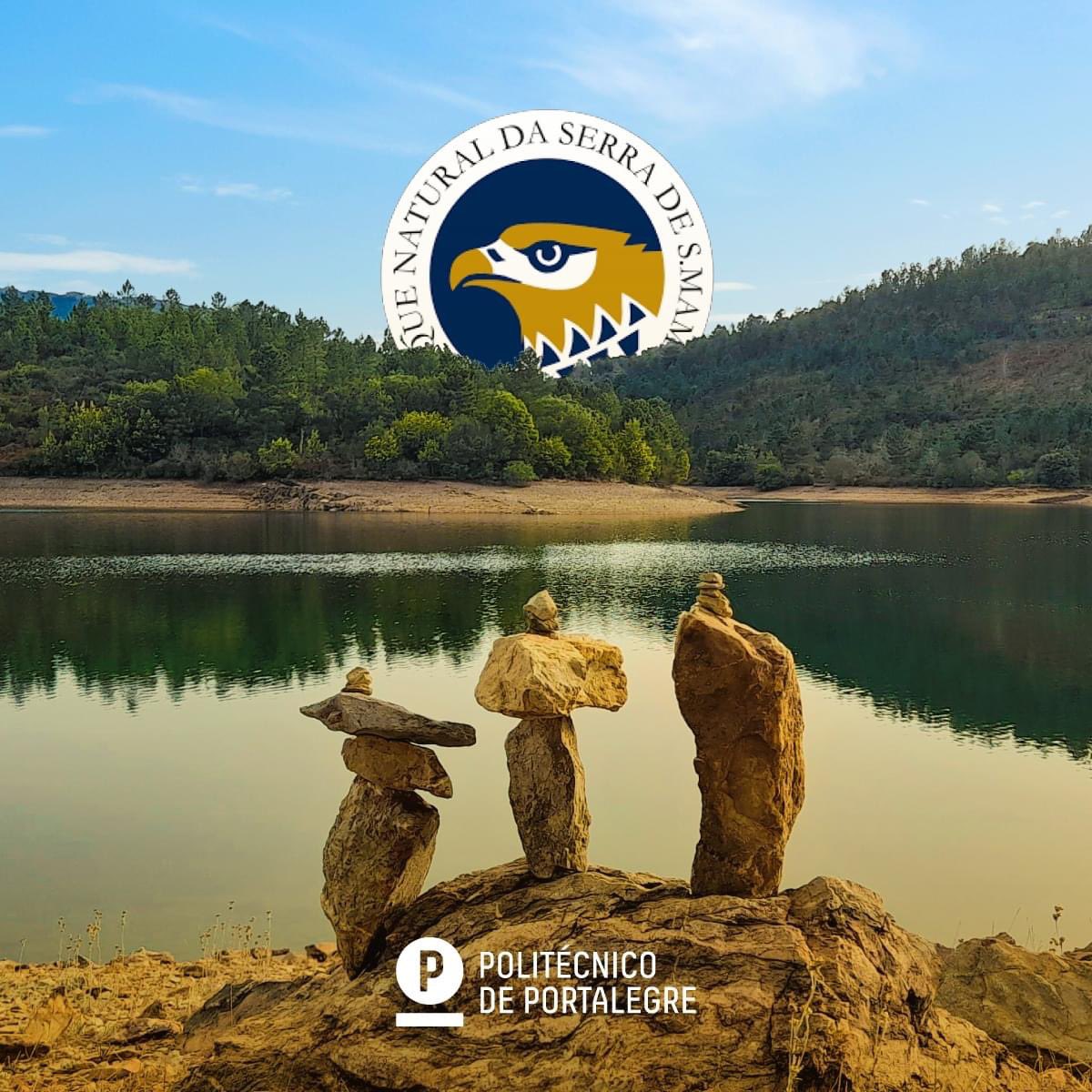 Politécnico de Portalegre tweet media