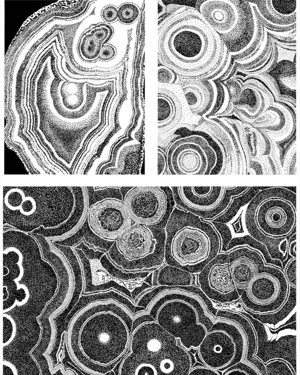 WoodenBooks_'s tweet photo. CONCENTRA: Why do we find such formations attractive? LI: DYNAMIC FORM IN NATURE by David Wade. Wooden Books, 2022. https://t.co/yLkZ7umh4c #woodenbooks #li #davidwade #nature #design #ancientchina #art #pattern #organic #concentra https://t.co/Tecu5nI5HT