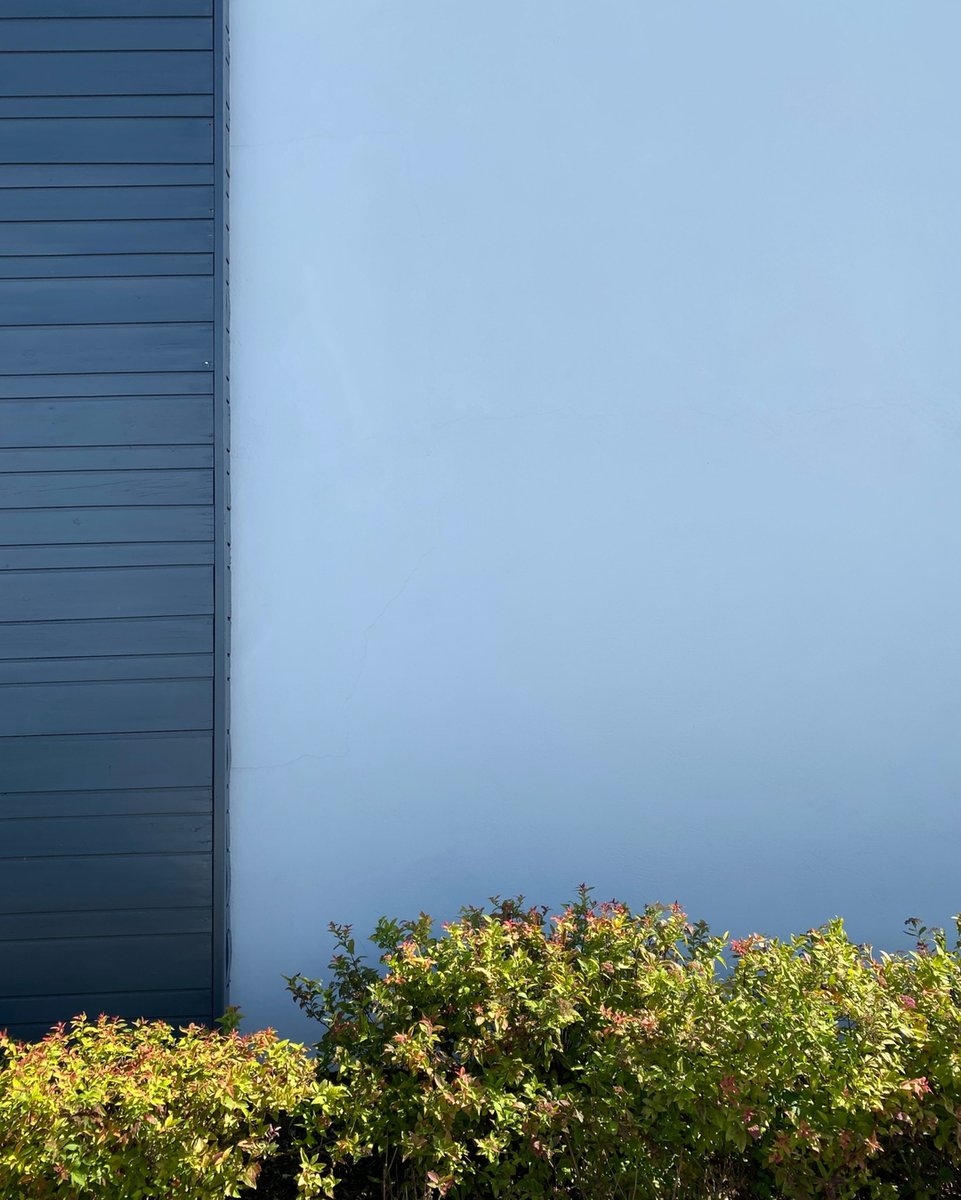 Happy four-day weekend 🌳#bankholiday