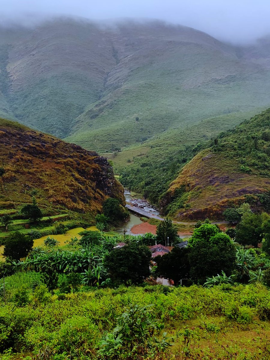 OdishaHeritage's tweet photo. #Putsil is the adorable gem of #Koraput district. 

A place with divine beauty, a sky full of foggy clouds and serenity all around forces national as well as international photographers to explore its beauty.

#Odisha #OdishaHeritage 

PC- @mrbarik101 https://t.co/fPogqX0Zfd