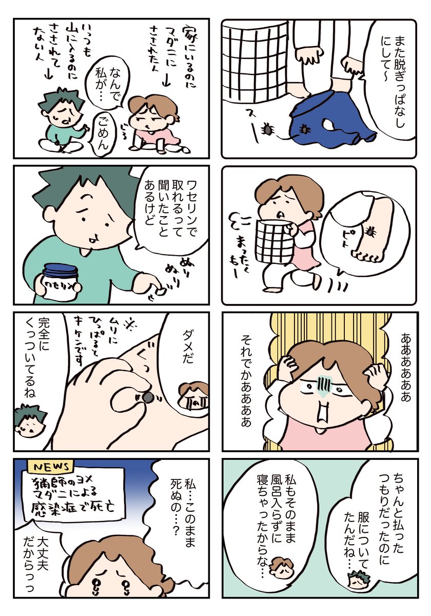 家でマダ二に刺された話 #コルクラボマンガ専科 #漫画が読めるハッシュタグ 