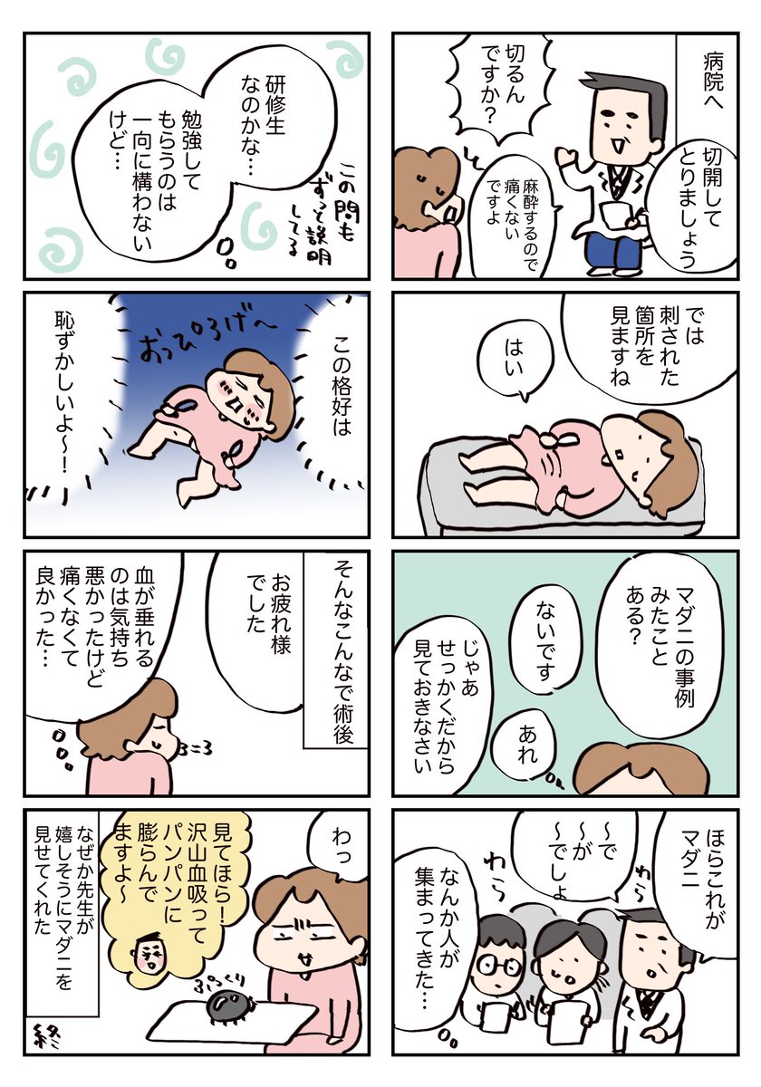 家でマダ二に刺された話 #コルクラボマンガ専科 #漫画が読めるハッシュタグ 