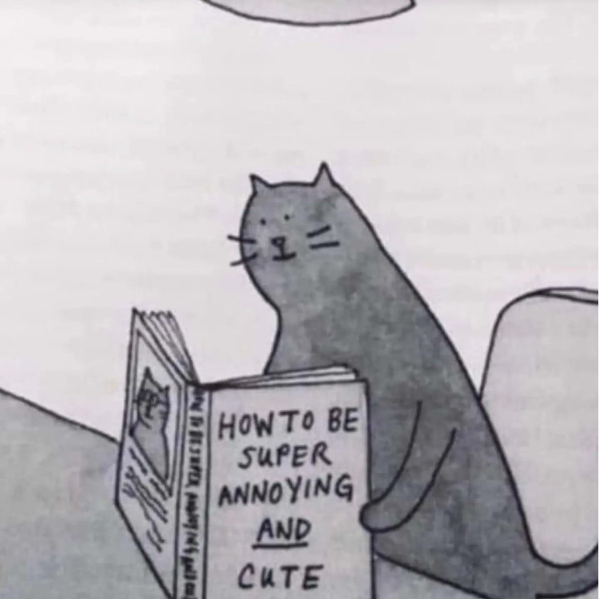 tiny_tubie's tweet photo. Sometimes you just gotta redraw funny pictures (right is the original artwork, if anyone knows the artist let me know so I can credit them)
.
.
#tazzy #tinytuber #tinyarts #tinytubie #tazztalks #cute #seaotter #reading #book https://t.co/gEkzR8g3rb