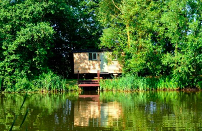 muddyleicsrut's tweet photo. Fancy a digital detox? Book a stay in this cosy little lakeside shepherd's hut in #Leicestershire
https://t.co/prPY4GtG6R
@purplebadger2 #goneglamping #glamping #digitaldetox #offgridglamping #Leicestershire #beeby https://t.co/wPpV2BAJFx
