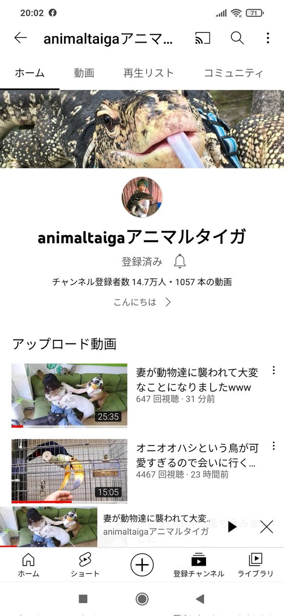 HappyGrow2021's tweet photo. アニマルタイガさんに撮影していただいた動画がアップされましたので皆様ご覧になってください☺

https://t.co/uM27pxGcxo https://t.co/UcY1e2O6ty