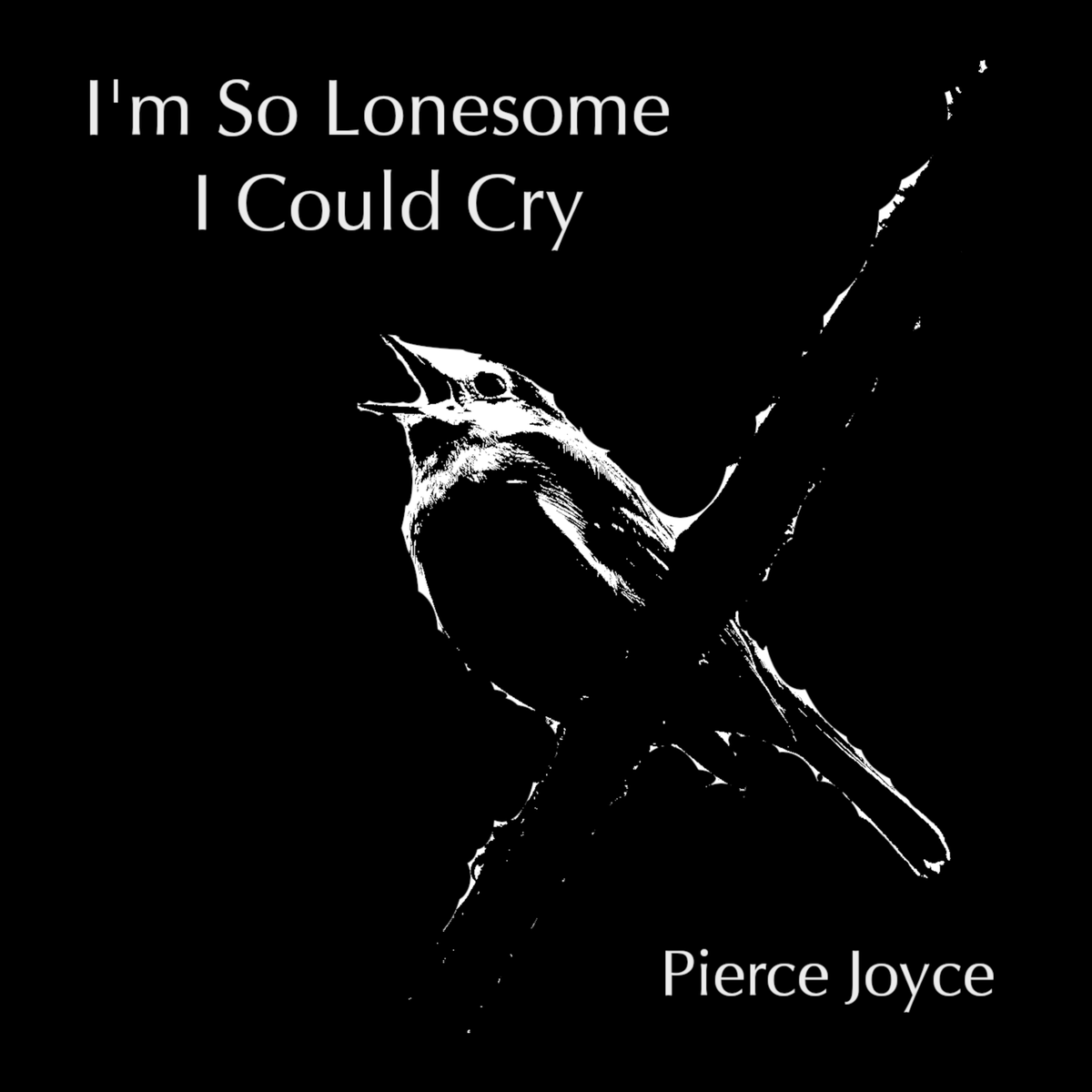 I'm So Lonesome I Could Cry

22/04/2022

NEW SINGLE coming next Friday to all streaming services.

Cover of the gorgeous Hank Williams song.