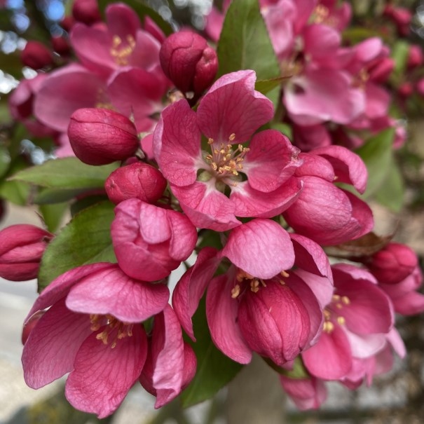 Jennings_'s tweet photo. Happy Easter all 🌼
Enjoy your long weekend 💚
#supportingtenants #smallbusiness #oxfordshirecountryside #oxfordshirebusiness #oxfordshiresmallbusiness #monumentpark #southoxfordshire #oxfordshire https://t.co/xZaUy7WRlu
