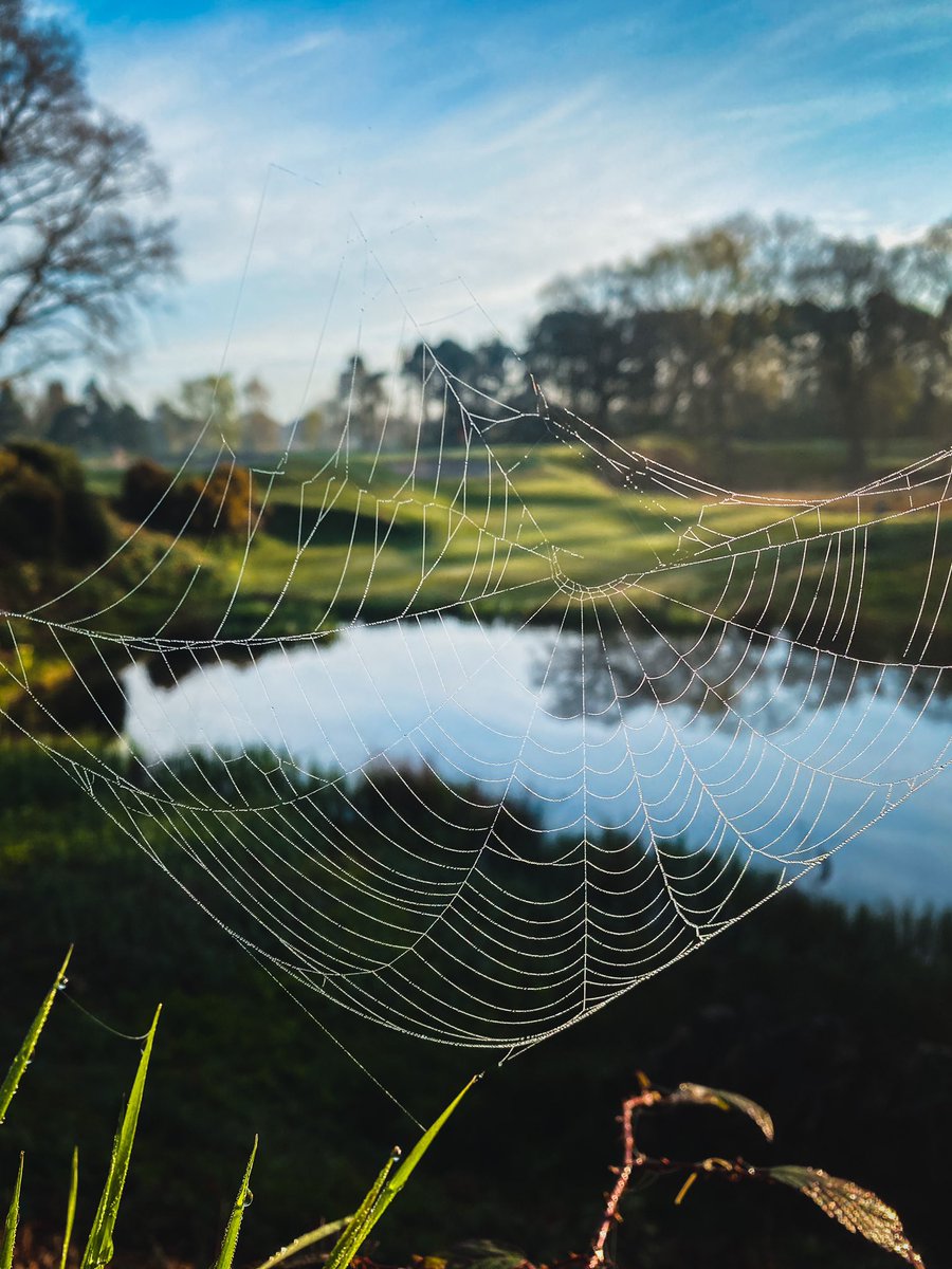 The 13th hole, from a more silky point of view.