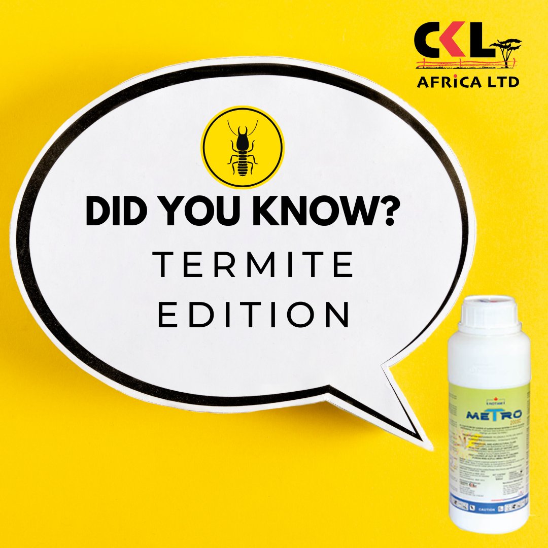 CKLAfricaltd's tweet photo. Did you know? #termite #pestcontrol #pestmanagement #constructioncleanup https://t.co/2iQHQpUoWg