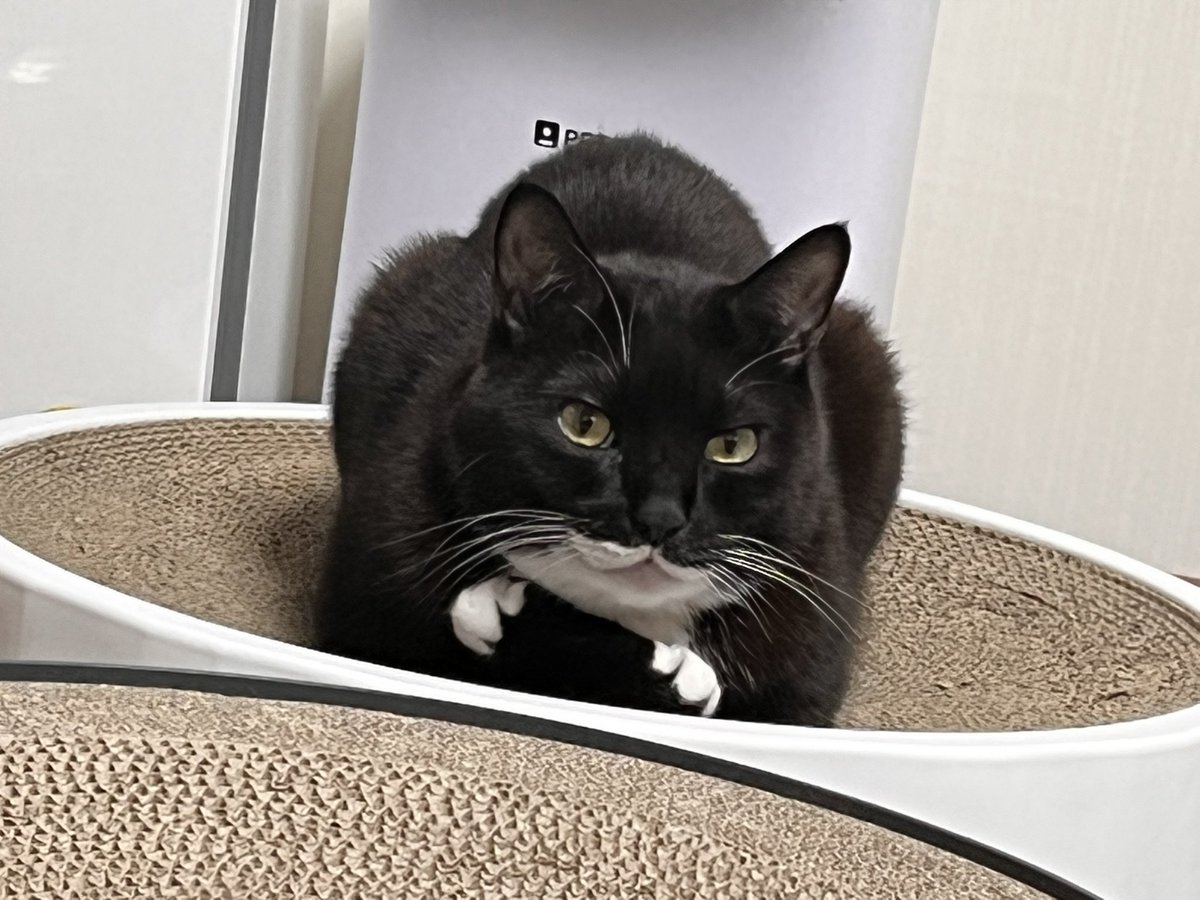 임자는 오늘도 임자를 사랑해요