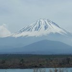 ツイートに含まれる画像
