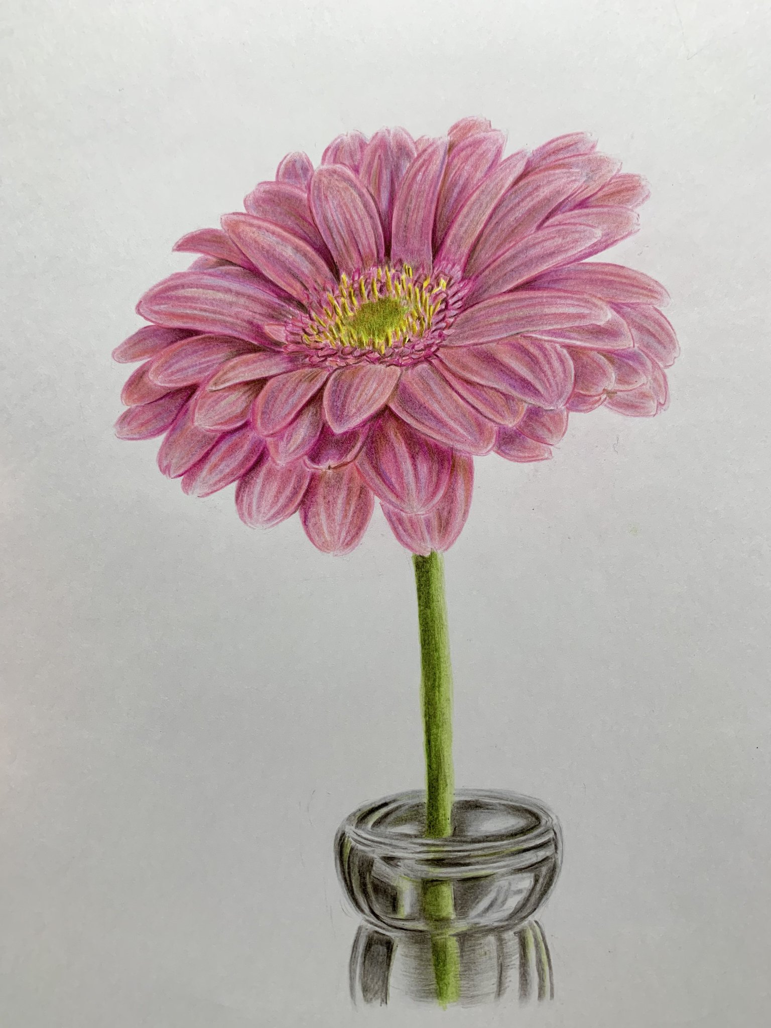 手描きイラスト10【ガーベラの花をあなたに】創作　A4 手描きイラスト10【ガーベラの花をあなたに】創作 A4 手描き