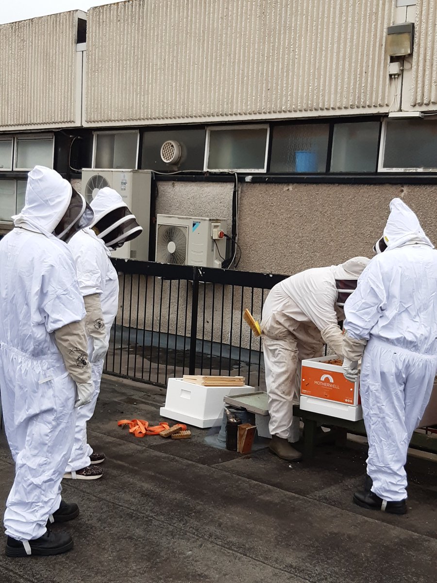 Motherwellsc's tweet photo. ๐The Bee's have arrived for the roof top hives at Motherwell Shopping Centre. Thanks to Meik @WebsterHoney for a very informative demonstration.
Hopefully we will have honey by the end of May. #sustainable #bees #bringingbacknature
@Motherwellsc @My_Motherwell https://t.co/YaAogL9xTA
