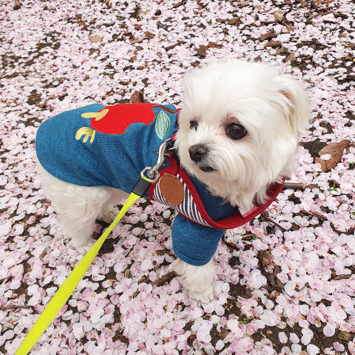 todaypopcorn's tweet photo. <-2021년 4월
                            2022년 4월-> https://t.co/569RfE1sy3