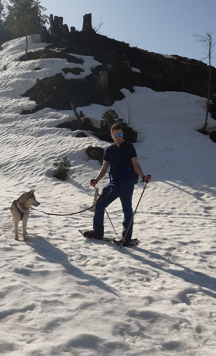 nanointercell's tweet photo. Our lab day @nanointercell included Swiss Alps, snow shoeing, team-building activities, and HUSKIES!!! The huskies were attached to each of us and pulled us up the hills. It was an unforgettable experience for everyone. 🤩❤️🇨🇭🐶🐶🐶 https://t.co/O0PbnLwjA9
