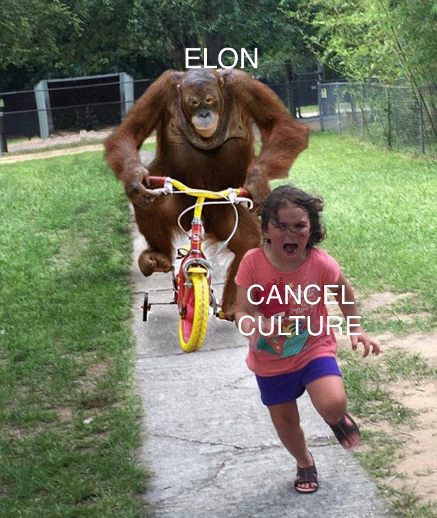 Zodd67's tweet photo. @elonmusk https://t.co/cY6ouf5IkO