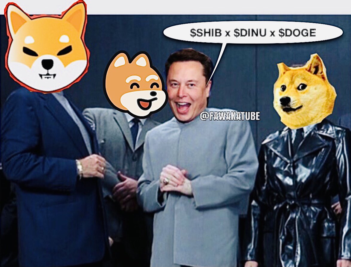DNA - Ridethe$SHIB/$DINUTrain tweet media