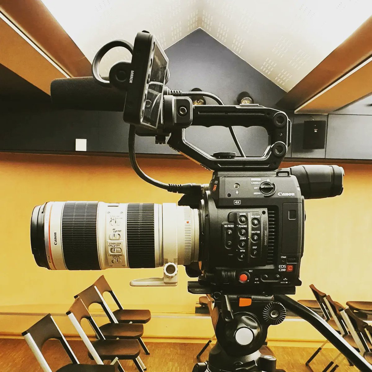 Digitale tweet media