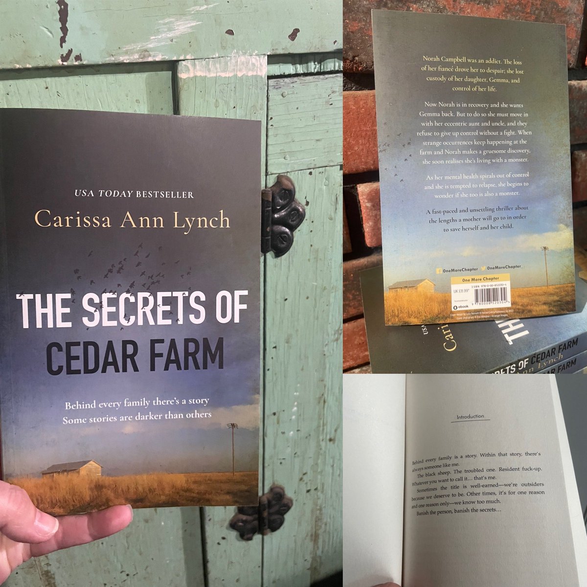 carissaannlynch's tweet photo. Physical copies of #TheSecretsofCedarFarm arrived yesterday and they’re so gorgeous they deserved their own little photo shoot 😭📸. Thank you to @0neMoreChapter_ @Harper360 @JennieRothwell1 @AgentShea for turning my words into this eerie, beautiful book I can hold in my hands! https://t.co/BUICMGnwC3