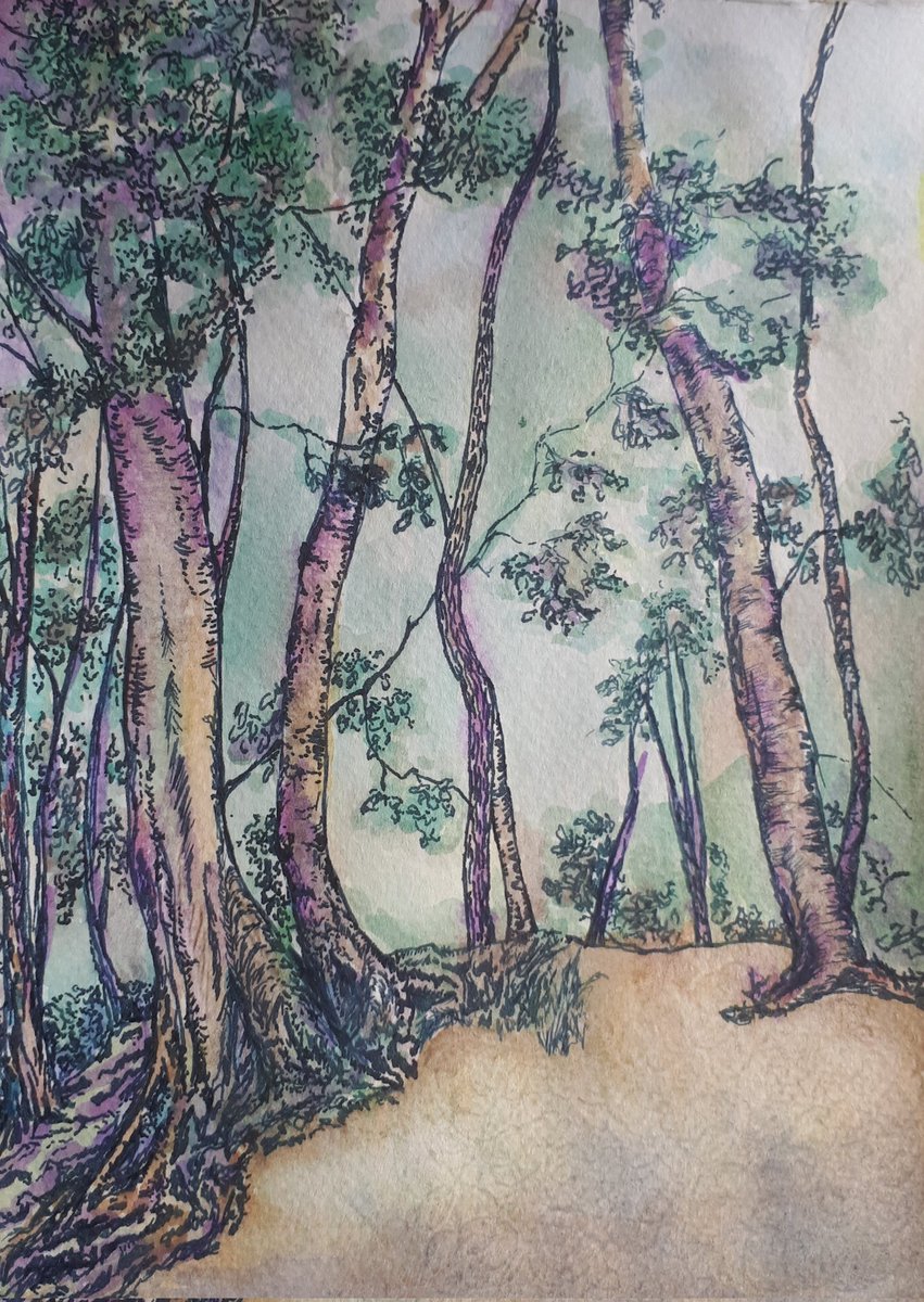 Cornucopia_Art's tweet photo. Trying out graduated tones in watercolour on an ink drawing in my sketbook. I thought the foreground would be too muddy as there are a lot of layers that I then added texture to with sgrafitto, but I really like how it's dried.
#fallingfoss #beechtrees #woodland https://t.co/Qf5CveQFfY