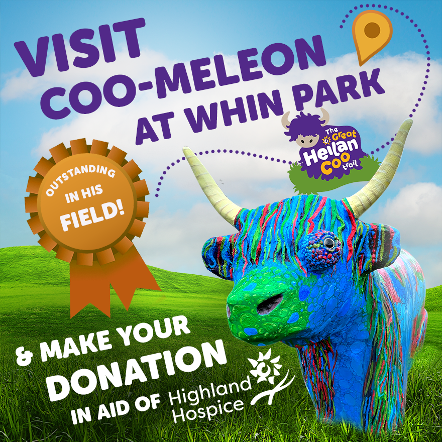 i_zurch's tweet photo. Meet coo-meleon at Whin Park, #Inverness as part of The Great Heilan Coo Trail! &amp; if you fancy supporting a great cause, be sure to vote for coo-meleon as your favourite with your donation to @HighlandHospice!👉https://t.co/1i0jiLZ9gu
#cootrail #thegreatheilancootrail https://t.co/U8k0t6ZxLH