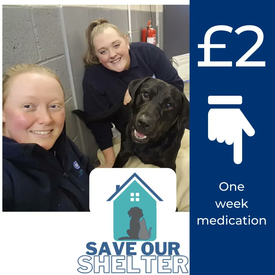 Just £2 a month could save us bit.ly/save-our-shelt… 💙 Generous supporters remembering us in their Will has allowed us to be here every day for nearly 40 years. Now, the funding is simply running out. If everyone following our campaign gave £2 a month, we'd be secure. THANK YOU