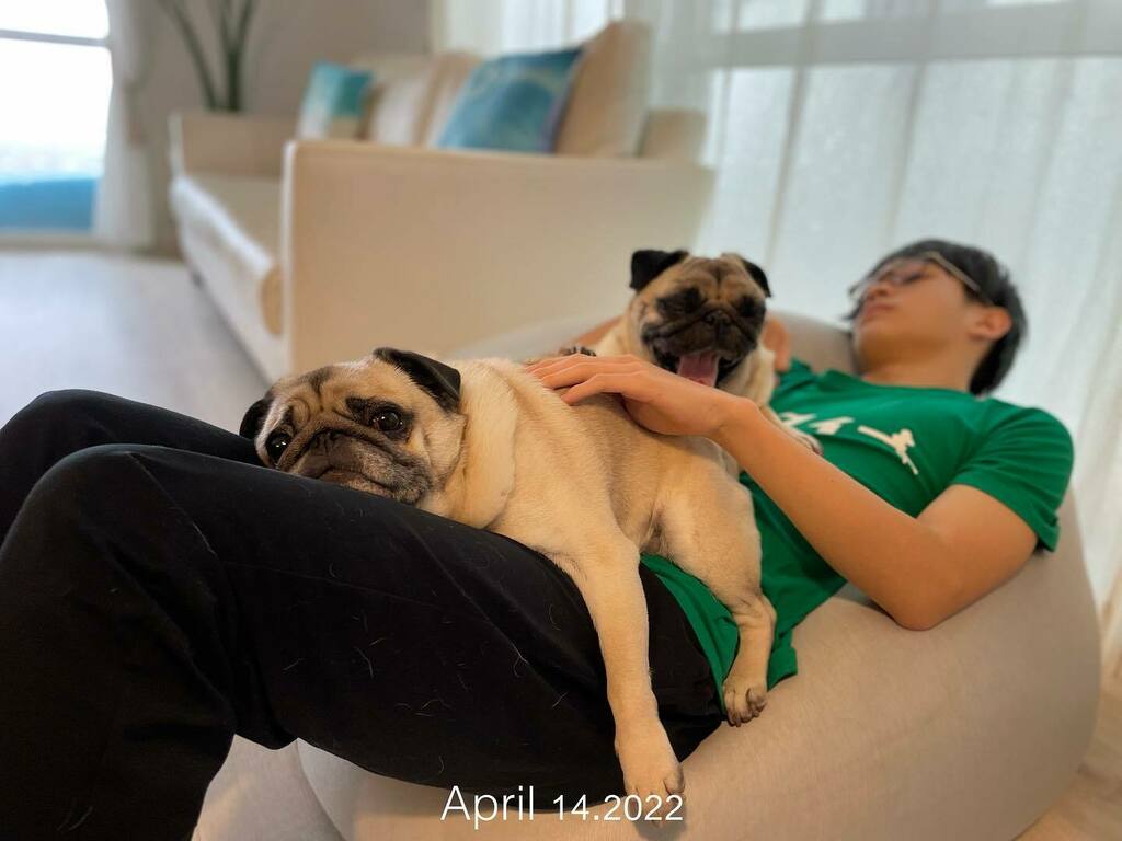 moncome's tweet photo. 兄ちゃんラブ💙

#ソナチャックハリー #ソナさん
#310Chuck #310Harry
#pug #dog #犬 #パグ https://t.co/0RQIh6P10P https://t.co/wmIOsMeMuq