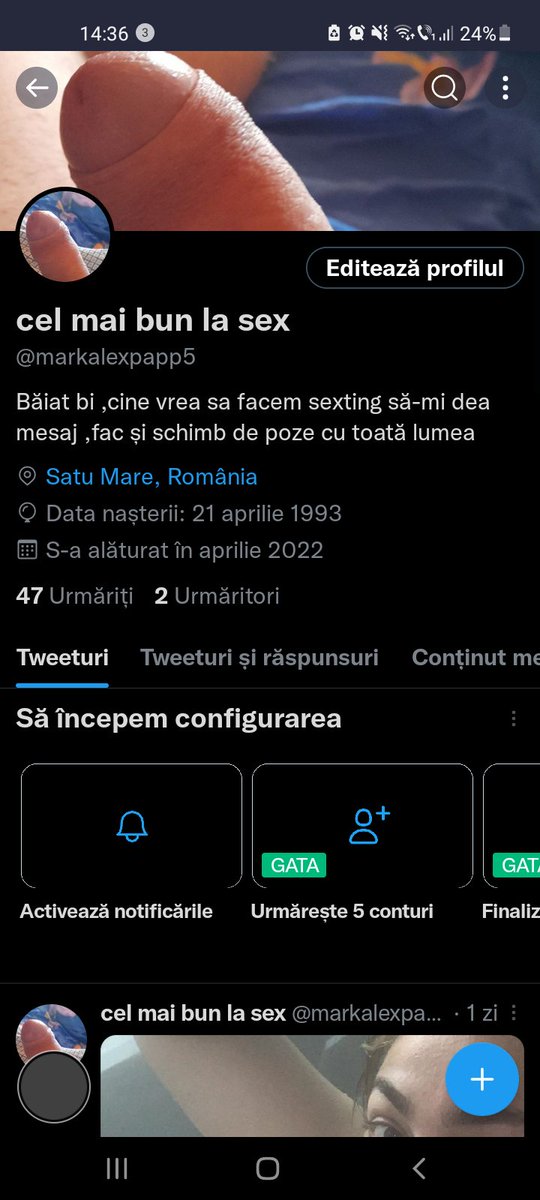 markalexpapp tweet media