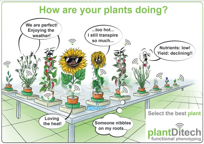 PlantDiTech's tweet photo. We are excited to have a multi talent join our team
Dr. Daria Chrobok @DC_SciArt, PhD in #PlantPhysiology &amp; a #ScientificIllustrator.
Daria will further develop @PlantDiTech's business in Europe.
And if you asked yourself- Yes! This is Daria's 🆕drawing🎨of the #PlantArray System https://t.co/JegeIZEhEX