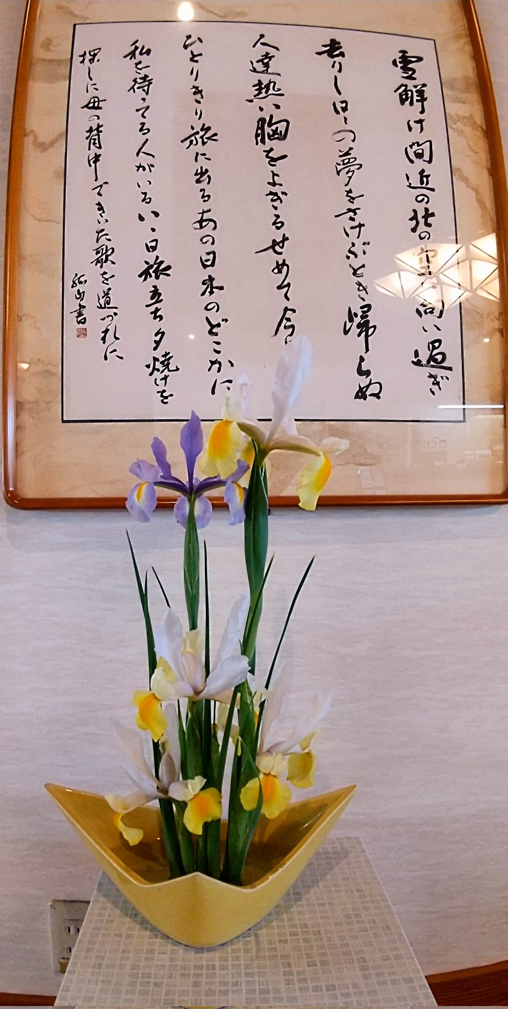 賢島の宿 みち潮 春の花が花畑に 一斉に咲きそろいました 水仙 ガーベラ アイリス シラン フリージア 椿 キンギョソウ コデマリ キンセンカ クロッカス それぞれ個性があって どの花も美しいですよね 匂い立つ花の香りもお届けしたいです T Co