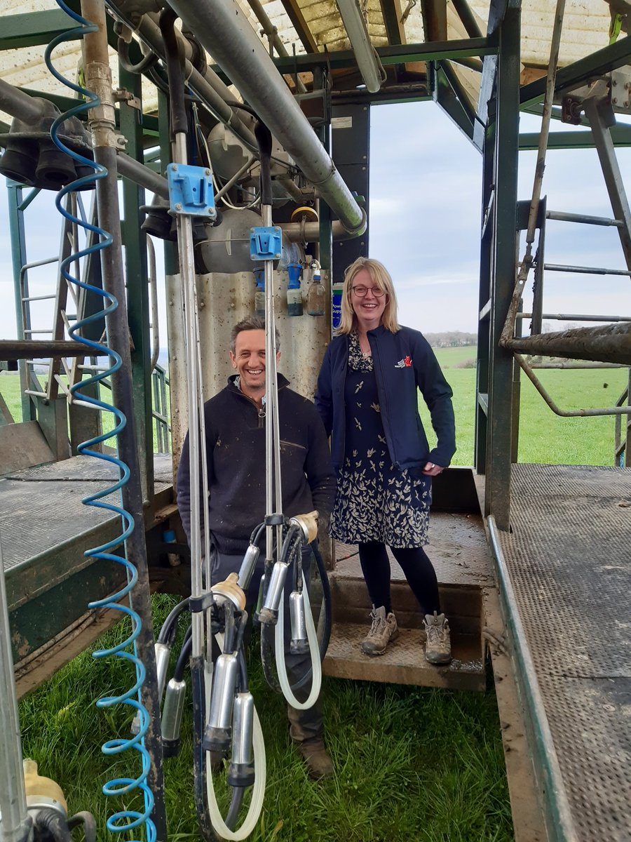 soilcarBEN's tweet photo. Amazing visit to @chedgeyo's roaming #dairy. Really feeling the spell of @NuffieldFarming, expanding my mind about what is possible, after seeing a first gen #farmer running a thriving dairy business, with little capital or prior dairying expertise😲 #whatbarriers https://t.co/nXwdFW8iqs