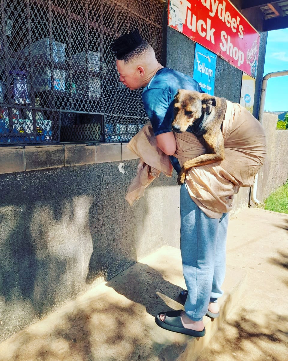 Dimpie_Dimpopo's tweet photo. Mohammad!?! Please give me a refresh 2 Stylos and a Stok sweet 🍭 for this one 🐶🐅

Will give your money end of the month ???

😂🤣🤣😂😂😂😂🤣😂🤣😂 https://t.co/X21jsPqN9G