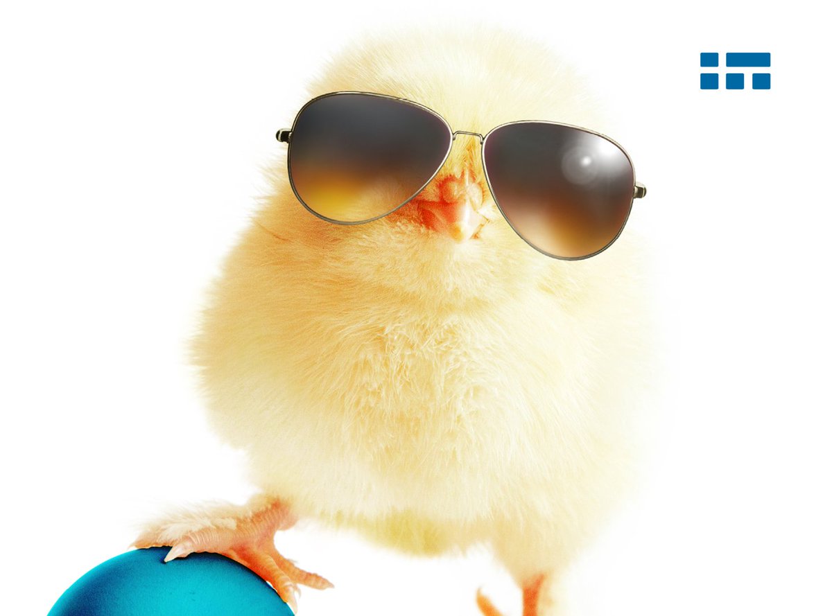 insite_it's tweet photo. 😊 Happy Easter 2022 everyone!  

By the way, if you need help locating Easter eggs, uhm, tools, materials or construction information - just let us know! Insite LMS can save you the time you'd spend searching.

#happyeaster #construction #insiteit #insitelms https://t.co/lJI86g67L3